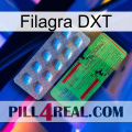 Filagra DXT new03